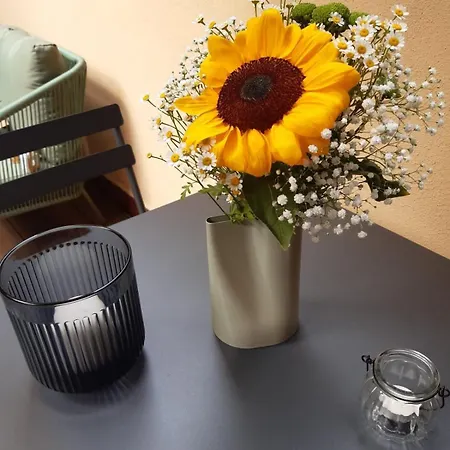 Apartment Olive Garden Stylish With Cozy Terrace Milan